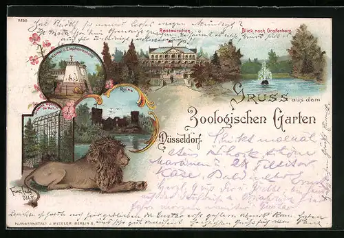 Lithographie Düsseldorf, Zoologischer Garten, Kamel- u. Elefantenhaus, Löwe, Restauration