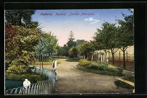 AK Funchal /Madeira, Jardim Municipal