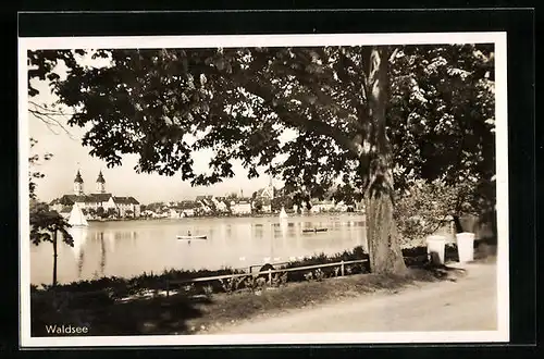 AK Waldsee, Panorama