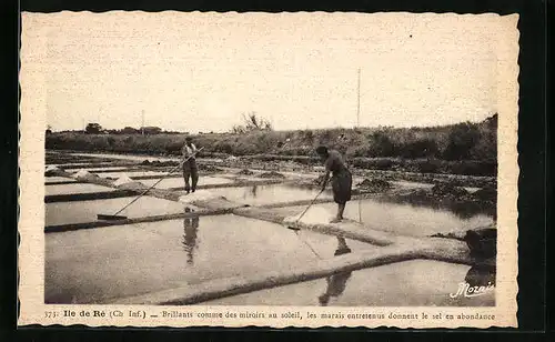 AK Ile-de-Ré, Brillants comme des miroirs au soleil, Saline