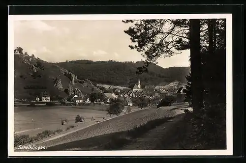AK Schelklingen, Panorama mit Kirche