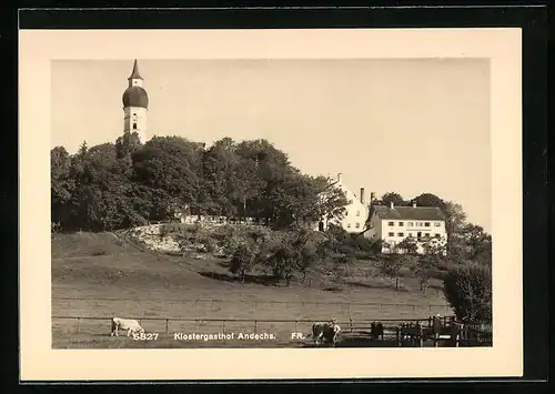 AK Andechs /Oby., Klostergasthof mit weidenden Kühen