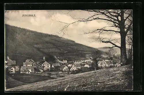 AK Jungholz, Panorama