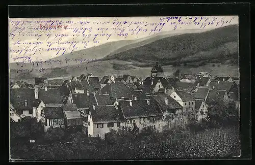 AK Reichenweier, Ortsansicht