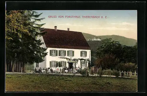 AK Thierenbach, Gasthaus Forsthaus