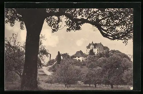 AK Stettfurt, Blick auf das Schlosss Sonnenberg