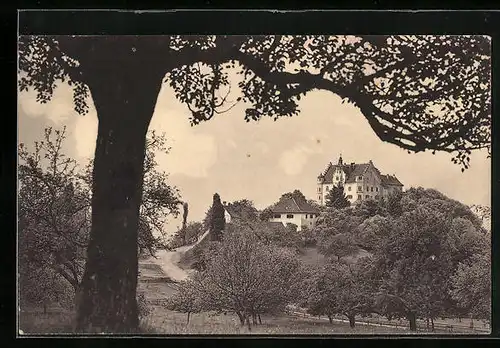 AK Stettfurt, das Schloss Sonnenberg mit Bäumen