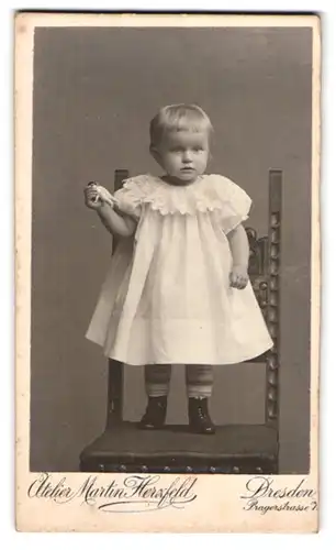 Fotografie Atelier Martin Herzfeld, Dresden, Pragerstr. 7, Kleines Mädchen in weissem Kleid steht auf einem Stuhl