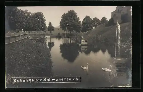 AK Schongau, Am Schwanenteich