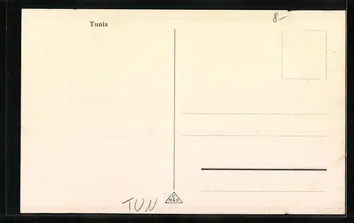 AK Tunis, Ortsansicht aus der Vogelschau