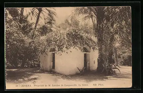 AK Biskra, Propriété de M. Landon de Longueville, Le Salon