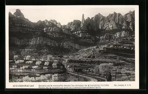 AK Montserrat, Detalle de la montana desde los campos de a`mendros floridos