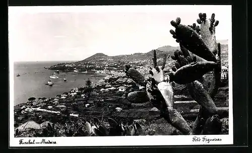 AK Funchal /Madeira, Ortsansicht mit Kakteen und Blick aufs Meer