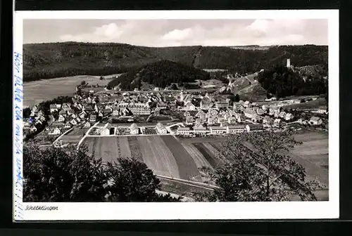 AK Schelklingen, Totalansicht aus der Vogelschau