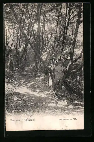 AK Prag / Praha-Chuchle, Lesni pramen