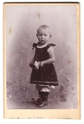 Fotografie H. Pickenpack, Kiel, Knooperweg 110, Kleines Kind im Kleid mit Blume