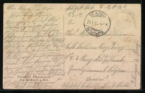 AK Markirch, Forsthaus Pflanzschule