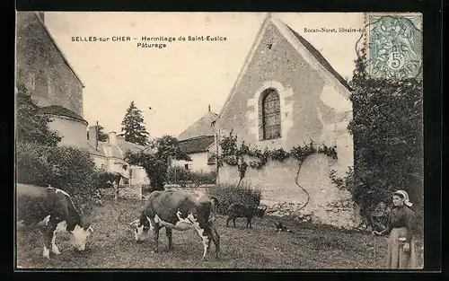 AK Selles-sur-Cher, Hermitage de Saint-Eucise Pâturage