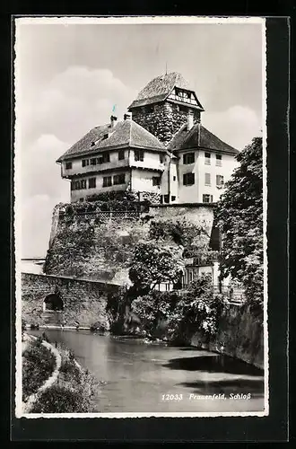 AK Frauenfeld, Schloss mit Schlossgraben