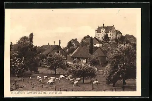 AK Stettfurt, Schlossgut Sonnenberg