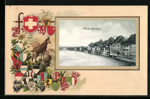 Passepartout-AK Rheinfelden, Rheinpartie mit Ufer, Wappen
