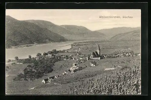 AK Weissenkirchen / Wachau, Gesamtansicht aus der Ferne
