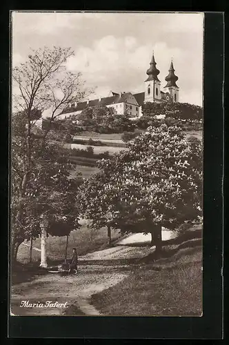 AK Maria Taferl, Strassenpartie gegen Wallfahrtskirche