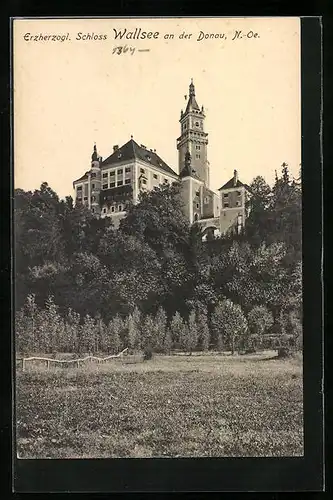 AK Wallsee /Donau, Erzherzogl. Schloss