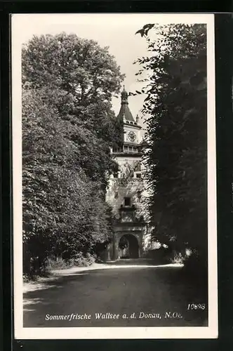 AK Wallsee /Donau, Strassenpartie mit Tor