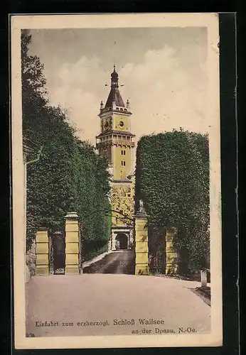 AK Wallsee /Donau, Einfahrt zum erzherzogl. Schloss