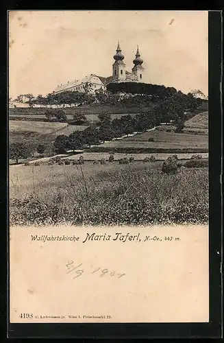 AK Maria Taferl, Blick hoch zur Wallfahrtskirche