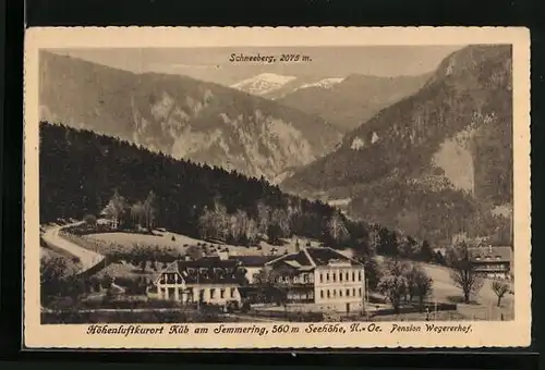 AK Küb am Semmering, Pension Wegererhof und Schneeberg