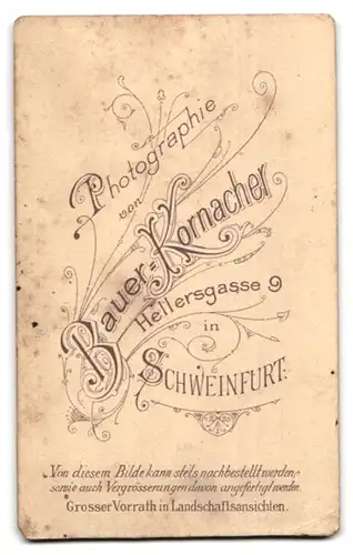 Fotografie Bauer-Kornacher, Schweinfurt, Hellergasse 9, Portrait Portrait junger Mann mit Fliege im Jackett