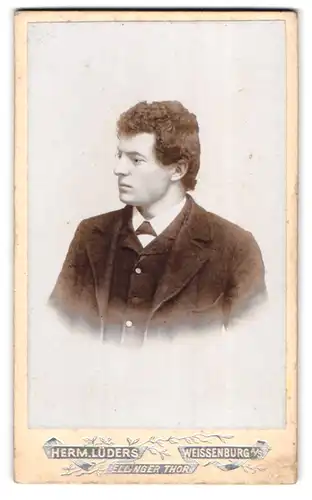 Fotografie Herm. Lüders, Weissenburg a. S., Ellinger Thor, Portrait charmanter junger Mann mit lockigem Haar im Jackett