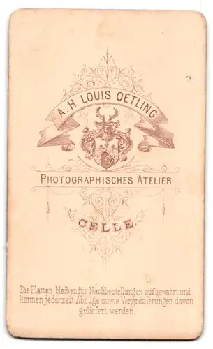 Fotografie A. H. Louis Oetling, Celle, Junger Herr im Anzug mit Fliege