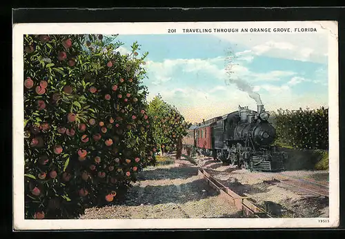 AK Traveling through an Ornage Grove at Florida, Eisenbahn