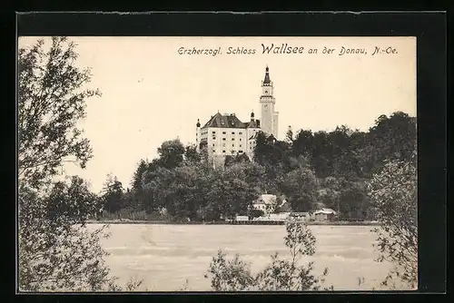 AK Wallsee an der Donau, Erzherzogl. Schloss