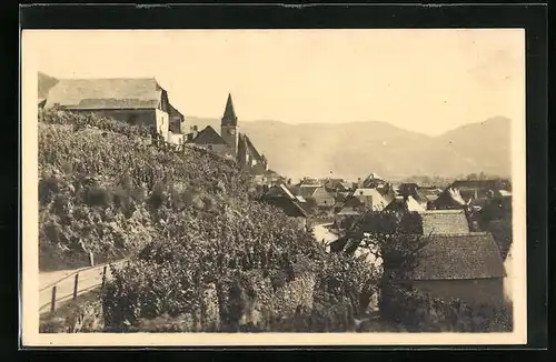 AK Weissenkirchen in der Wachau, Teilansicht