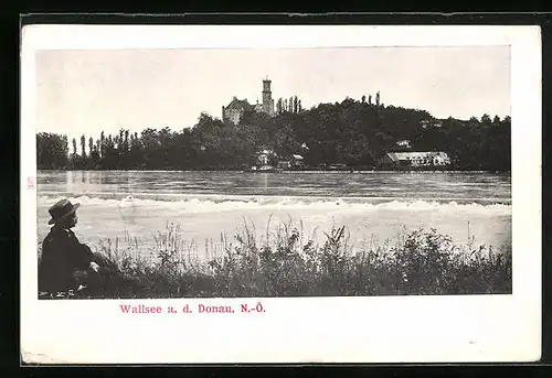 AK Wallsee an der Donau, Blick auf das Schloss