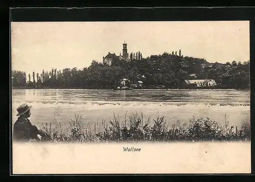 AK Wallsee an der Donau, Blick auf das Schloss vom Wasser aus