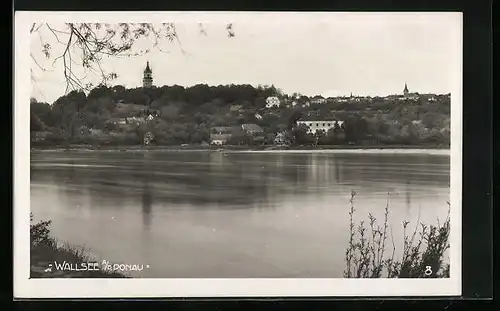 AK Wallsee an der Donau, Ortsansicht vom Wasser aus