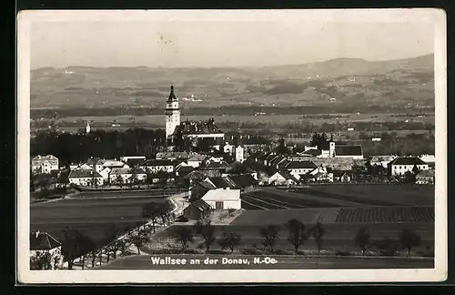 AK Wallsee an der Donau, Ortspanorama