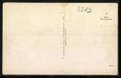 AK Wallsee an der Donau, Ortspanorama