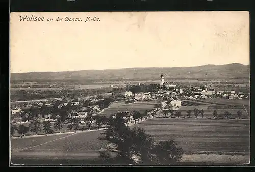 AK Wallsee an der Donau, Gesamtansicht