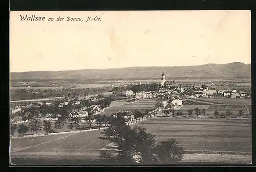 AK Wallsee an der Donau, Gesamtansicht