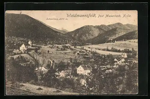 AK Waidmannsfeld, Ortsansicht Post Miesenbach mit Schneeberg