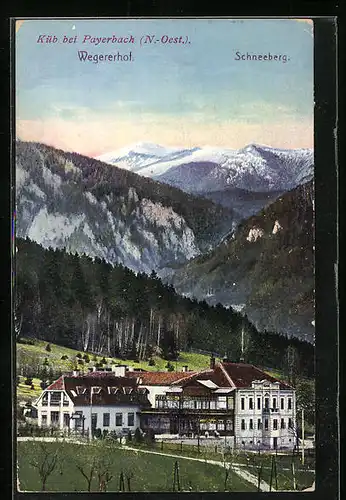 AK Küb / N.-Oest., Wegererhof mit Blick auf den Schneeberg