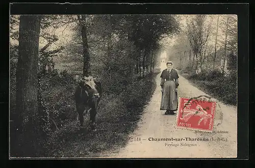 AK Chaumont-sur-Tharonne, Paysage Solognot