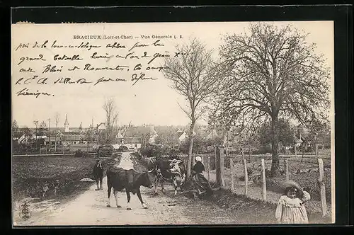 AK Bracieux, Vue Générale