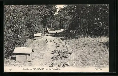 AK Chambord, La Faisanderie